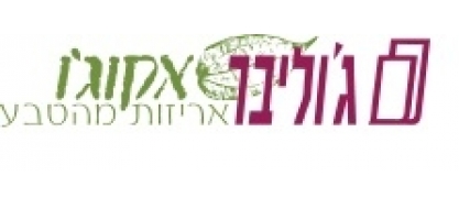 ג'וליבר